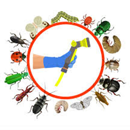 Pest Control Services Near Electronic City